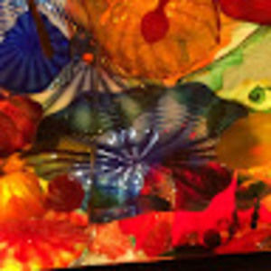 Meet your Posher, Ann